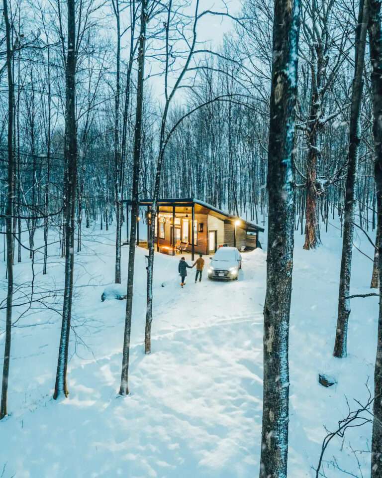 Stunning Hickory Look Tiny House with Exquisite Design - Olym News