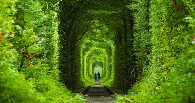 Ukraine’s Breathtaking ‘Tunnel of Love’ Has Its Origins in War – Tech Reactions News