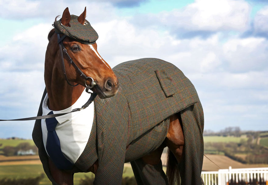 Elevating Owner's Style: The Ideal Horse Complements with Chic Attire