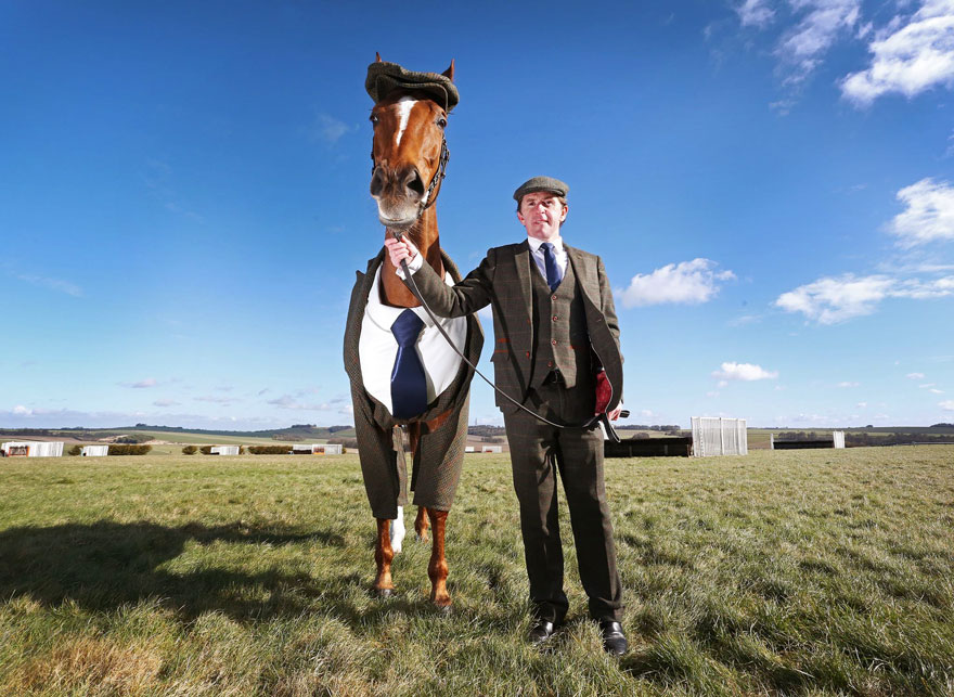 Elevating Owner's Style: The Ideal Horse Complements with Chic Attire