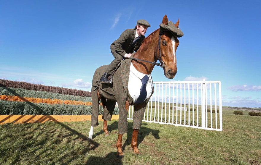 Elevating Owner's Style: The Ideal Horse Complements with Chic Attire