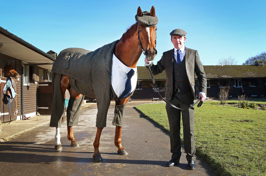 Elevating Owner's Style: The Ideal Horse Complements with Chic Attire