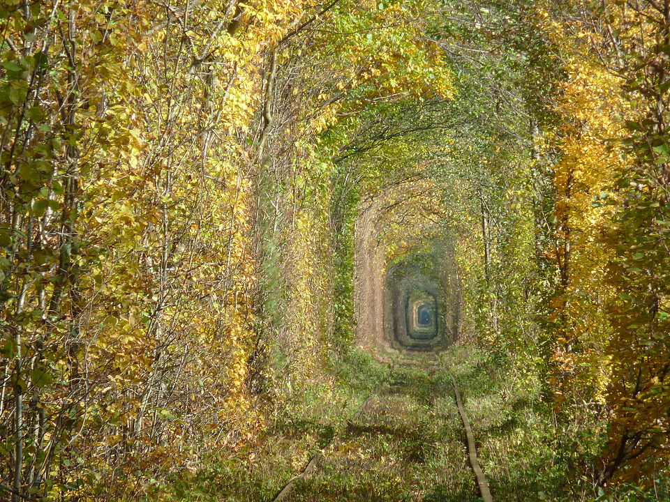 Ukraine’s Breathtaking ‘Tunnel of Love’ Has Its Origins in War – Tech Reactions News