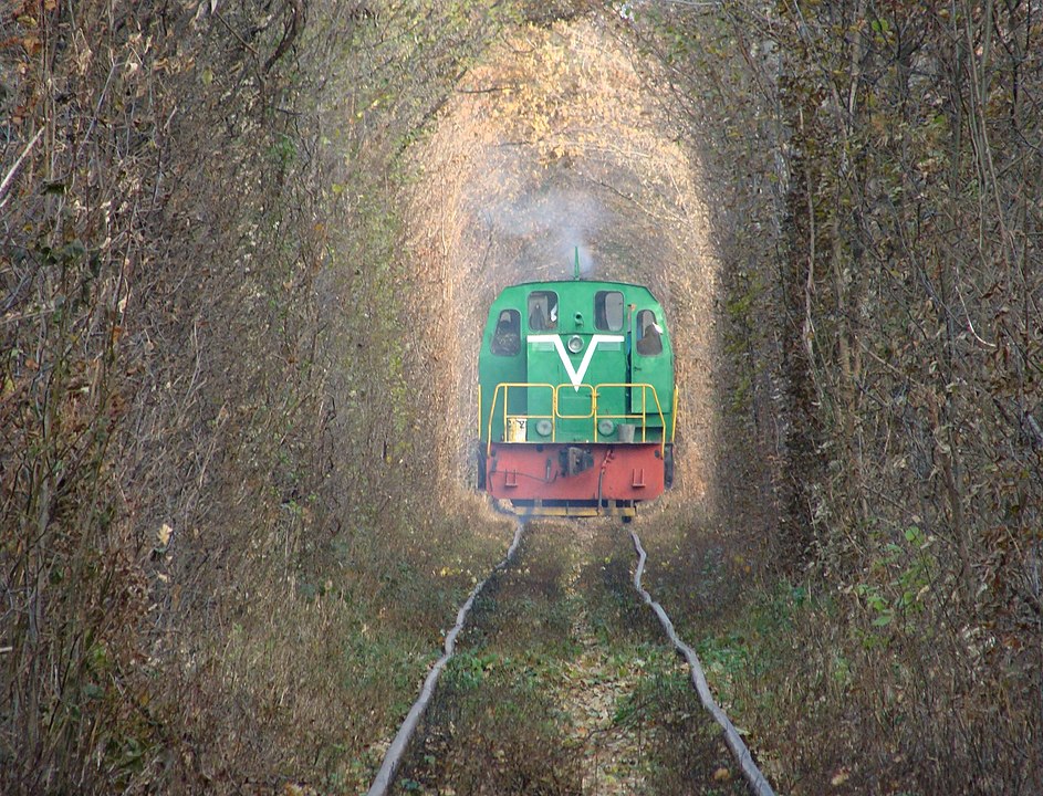 Ukraine’s Breathtaking ‘Tunnel of Love’ Has Its Origins in War – Tech Reactions News