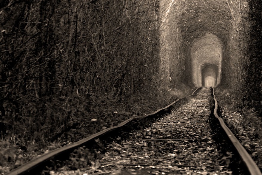 Ukraine’s Breathtaking ‘Tunnel of Love’ Has Its Origins in War – Tech Reactions News