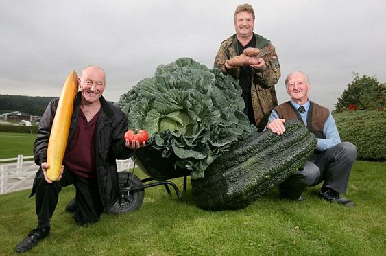 Unveiling Nature's Giants: Embarking on an Epic Journey through the Colossal World of Fruits and Vegetables..D - LifeAnimal