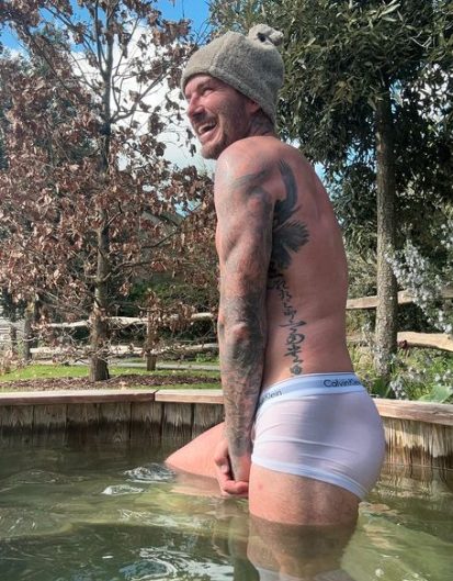 p.Victoria Beckham posted a VERY cheeky photo of her husband David in see-through pants to celebrate his birthday, delighting fans.p - LifeAnimal
