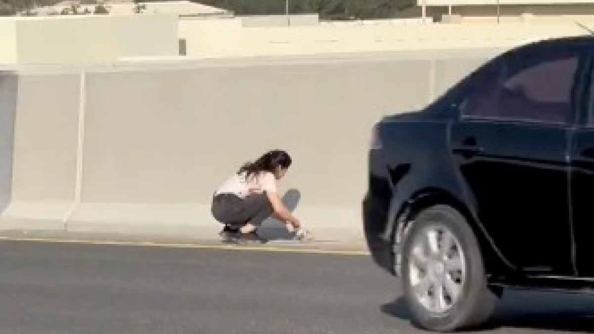 The daring rescue of an abandoned kitten from the middle of a busy highway