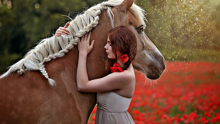 Eternal Bonds: Unveiling the Profound Expressions of Love Between Horses and Their Owners