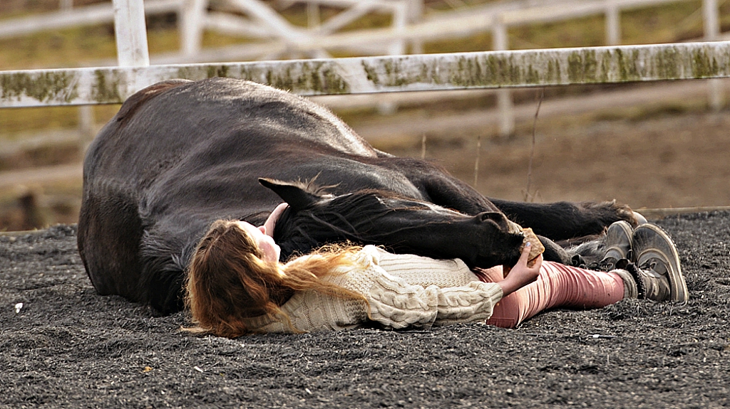 Eternal Bonds: Unveiling the Profound Expressions of Love Between Horses and Their Owners