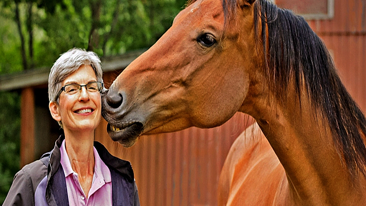 Eternal Bonds: Unveiling the Profound Expressions of Love Between Horses and Their Owners