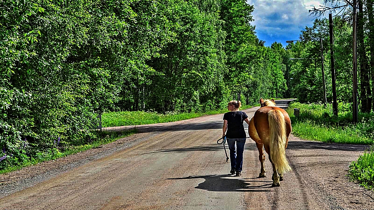 Eternal Bonds: Unveiling the Profound Expressions of Love Between Horses and Their Owners