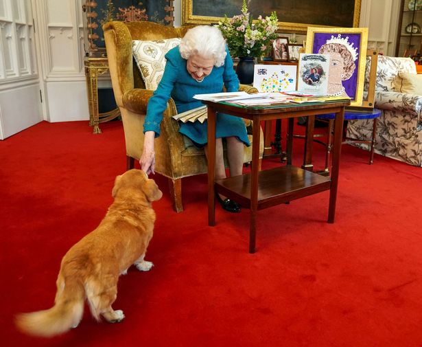 Fergie posts adorable new photo with the Queen's corgis as dogs settle into new home