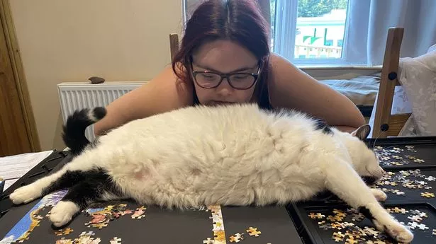 Woman Forced To Put Locks On Fridge To Keep 24-Pound Cat From Stealing Food