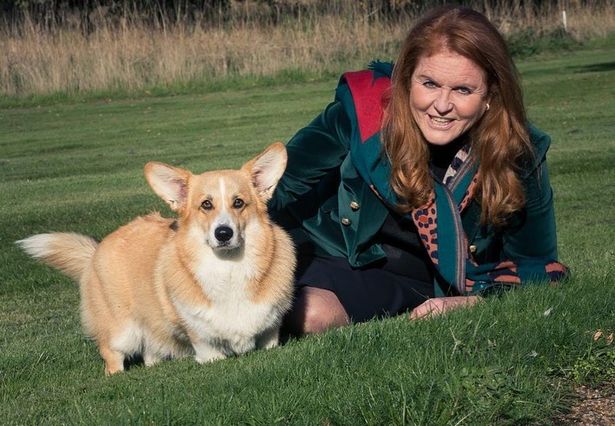 Fergie posts adorable new photo with the Queen's corgis as dogs settle into new home