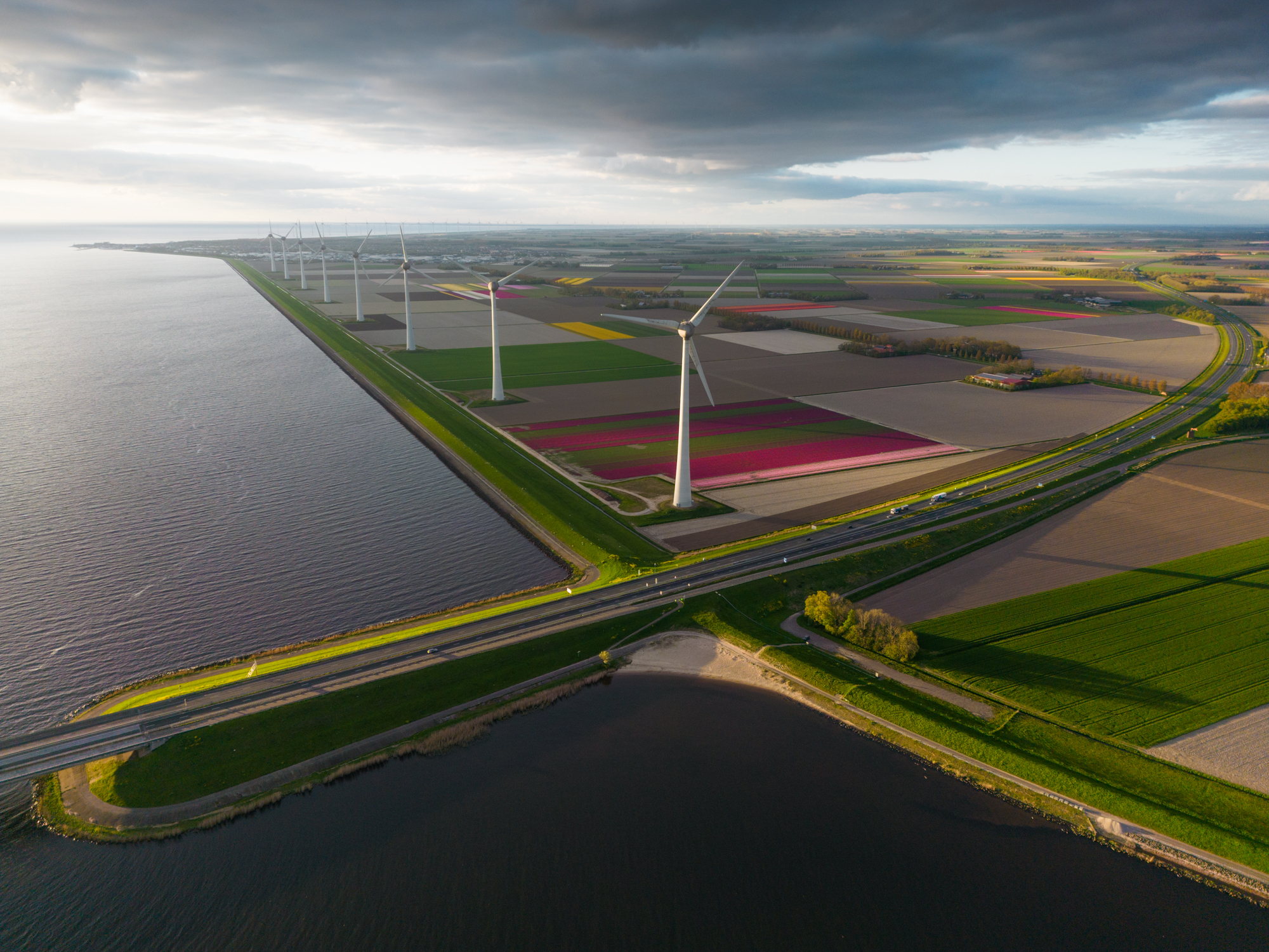 Unveiling the Enchanting Beauty of Dutch Tulip Fields - bumkeo