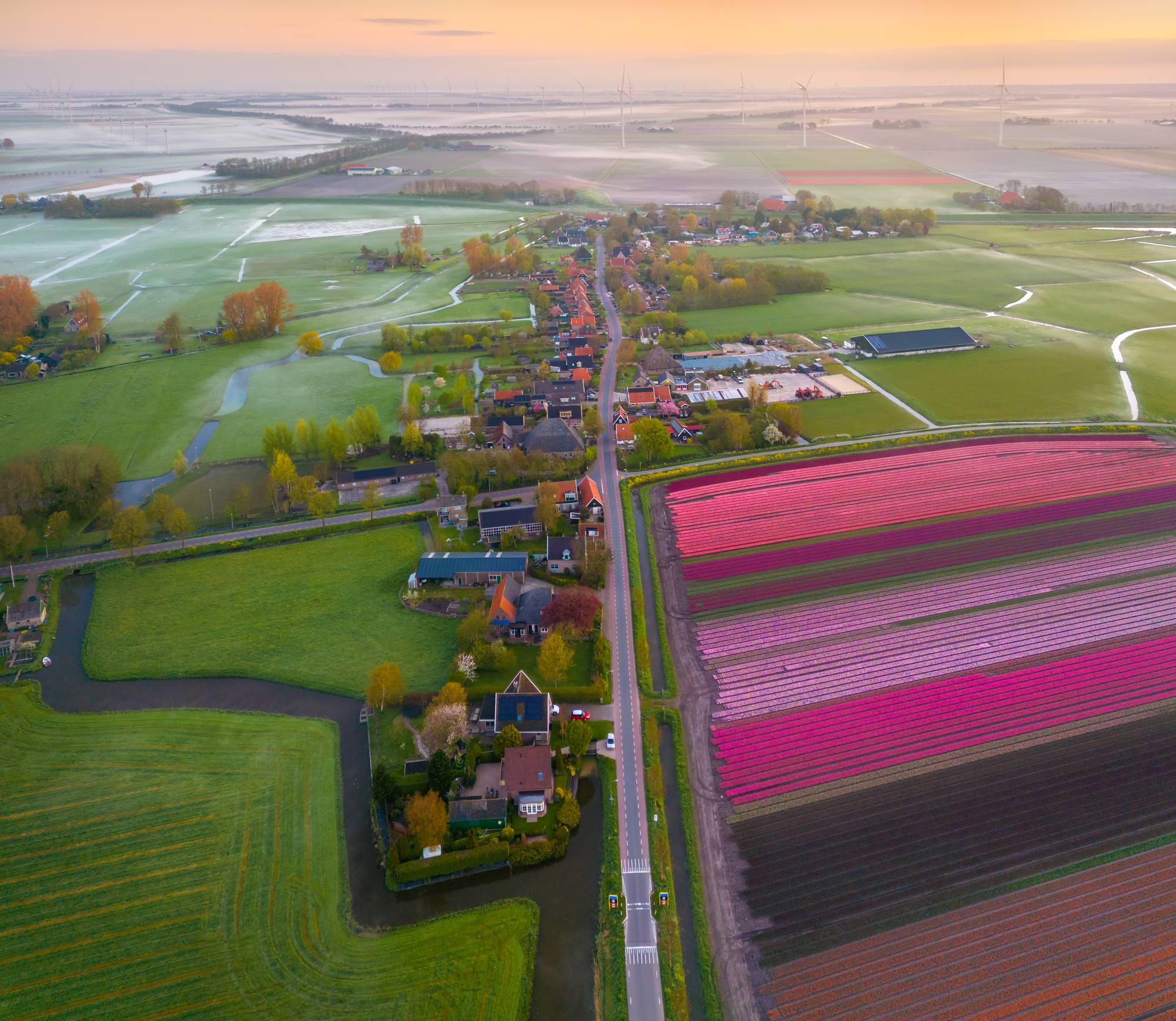 Unveiling the Enchanting Beauty of Dutch Tulip Fields - bumkeo