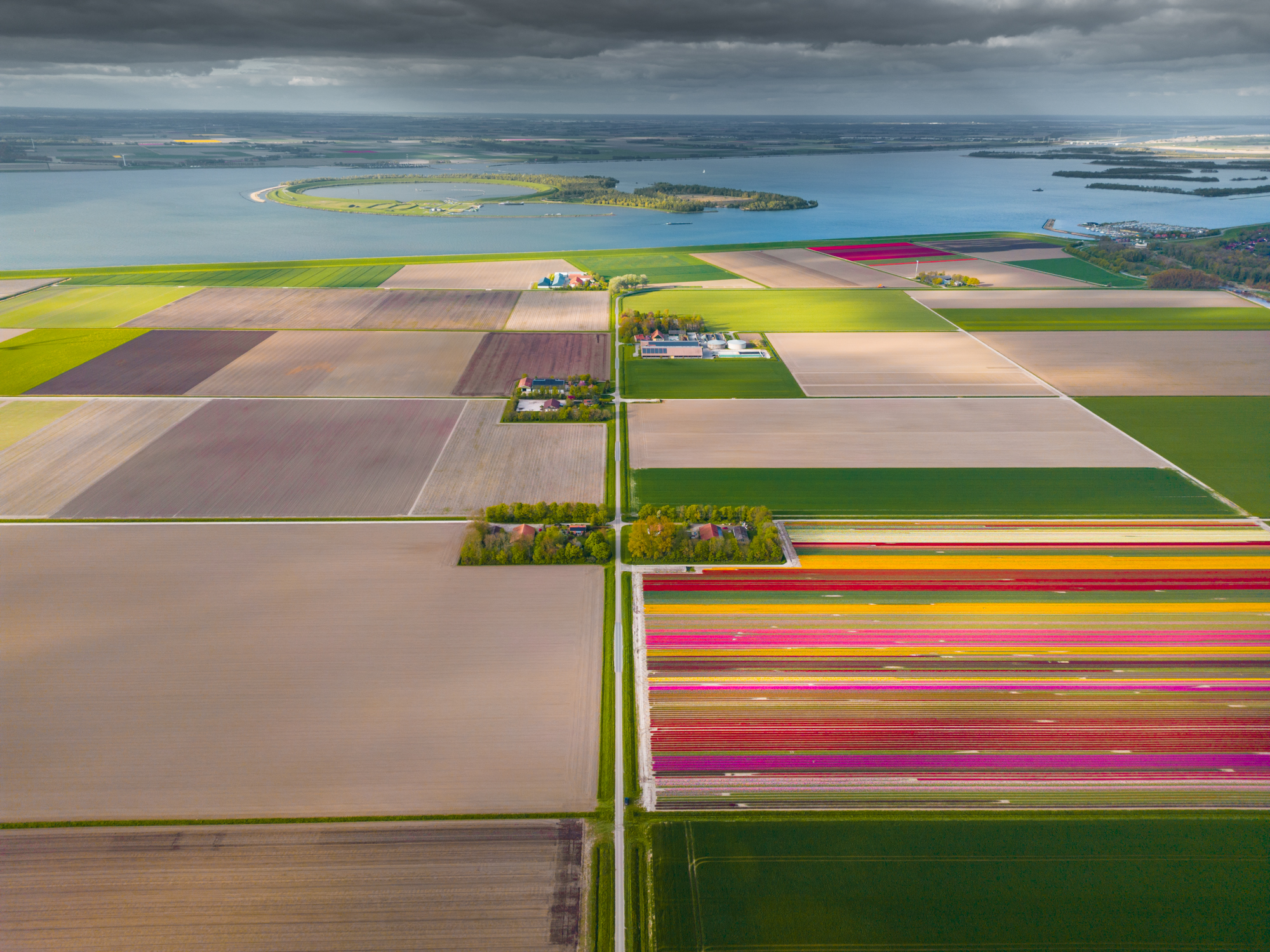 Unveiling the Enchanting Beauty of Dutch Tulip Fields - bumkeo