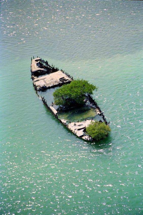 Forgotten by the Waves: Exploring the Abandoned Ships and Their Haunting Tales