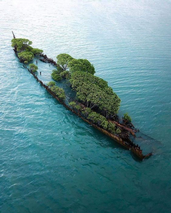 Forgotten by the Waves: Exploring the Abandoned Ships and Their Haunting Tales