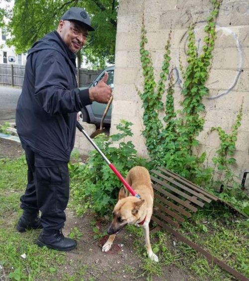 Left among trash, cruelly tied and deprived of food, this poor canine’s trust shattered after her puppies were sold. – newsvaults.com