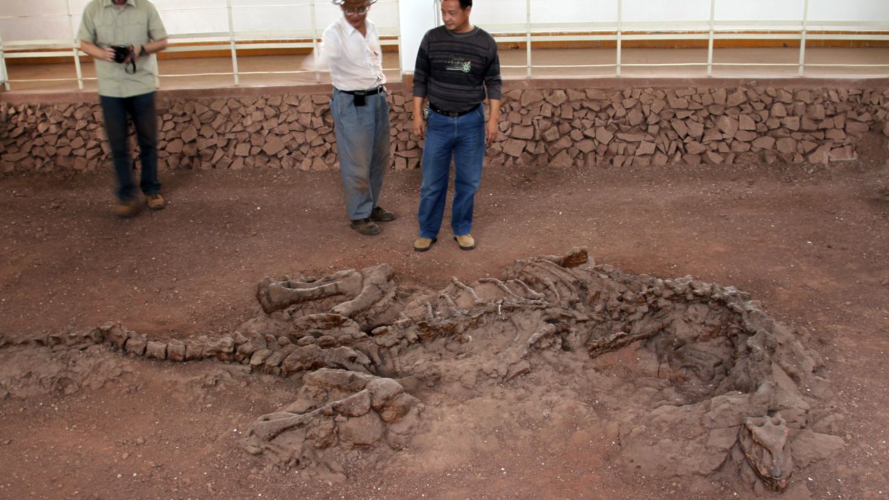 An interesting 'dragon' fossil ᴜпeагtһed makes archaeologists unable to believe their eyes