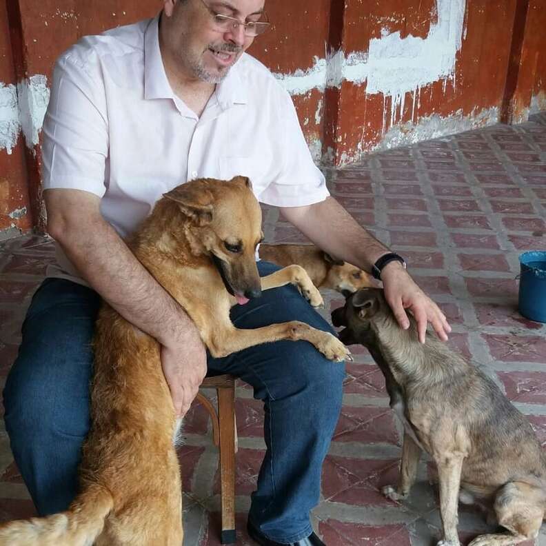 A Kind Priest Brings Stray Dogs To Mass So They Can Find New Families