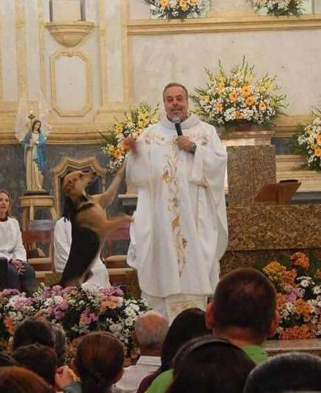 A Kind Priest Brings Stray Dogs To Mass So They Can Find New Families