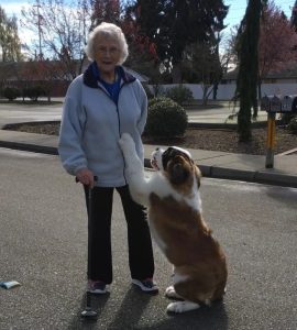 A Special Puppy Took it upon himself to befriend A Lonely Widow