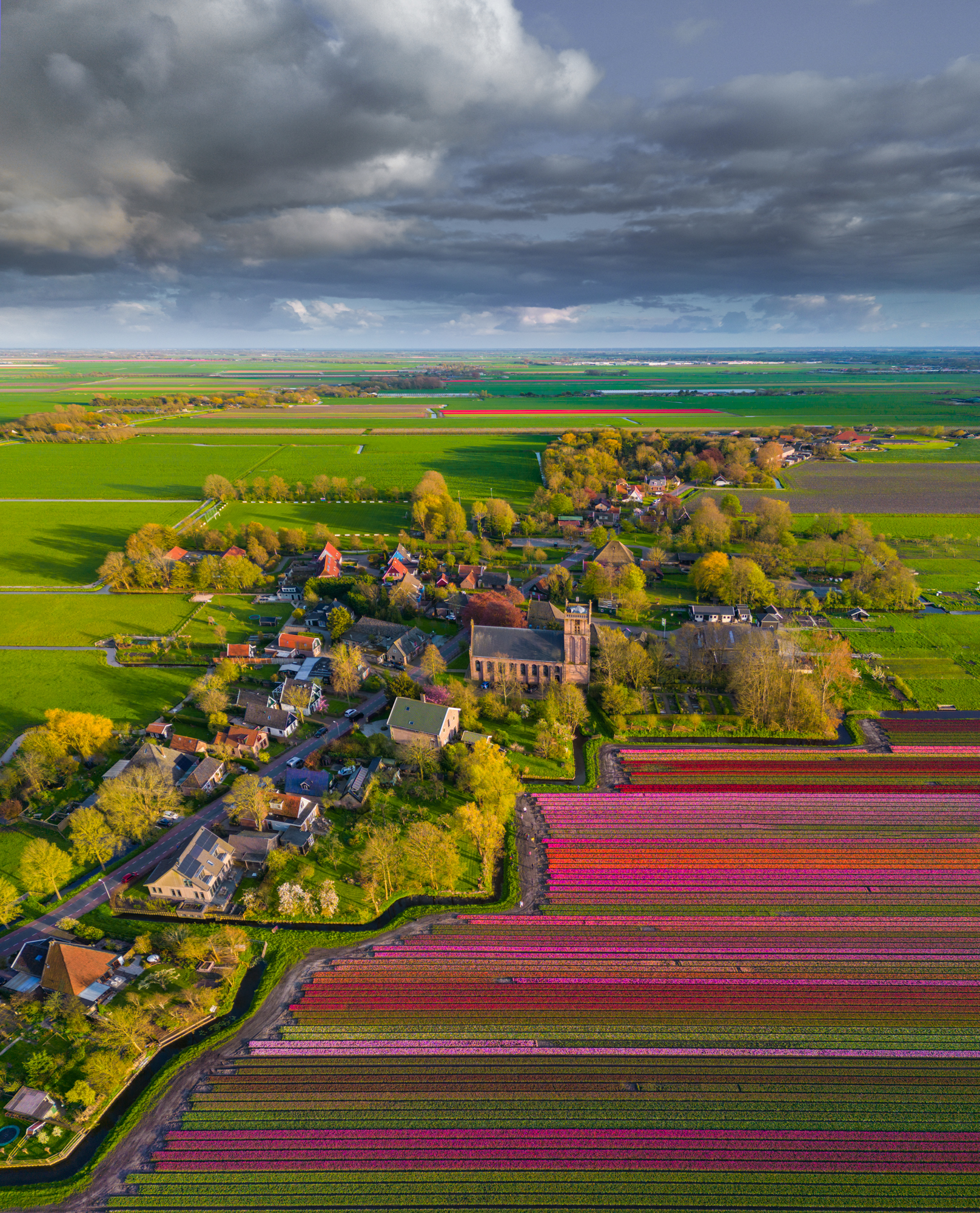 Unveiling the Enchanting Beauty of Dutch Tulip Fields - bumkeo