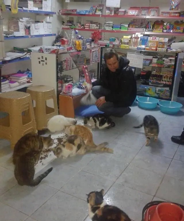 Man Turns His Shop into Refuge for Stray Cats During Harsh Snowstorm