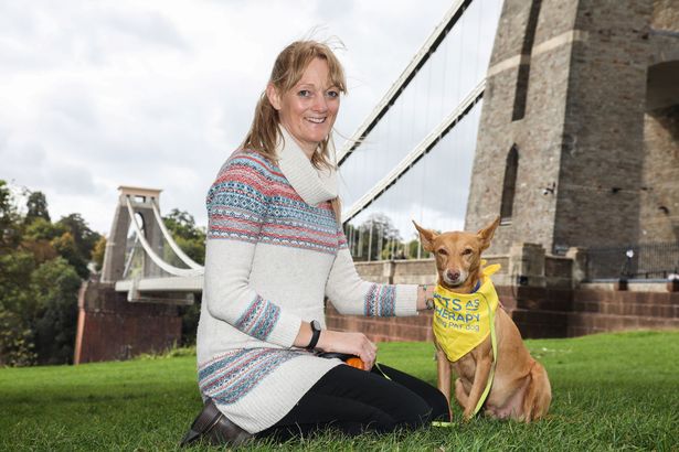 Lost dog stuns owner after walking himself five miles through city to find home