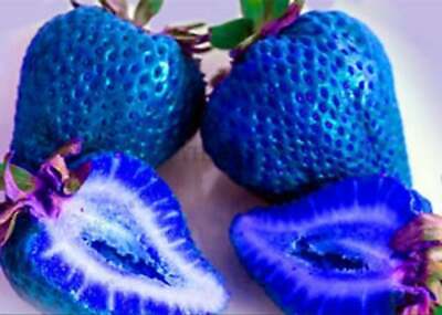 Nature's Hidden Jewels Unveiled: The Exceptional And Unique World Of Blue Fruits - Nature and Life