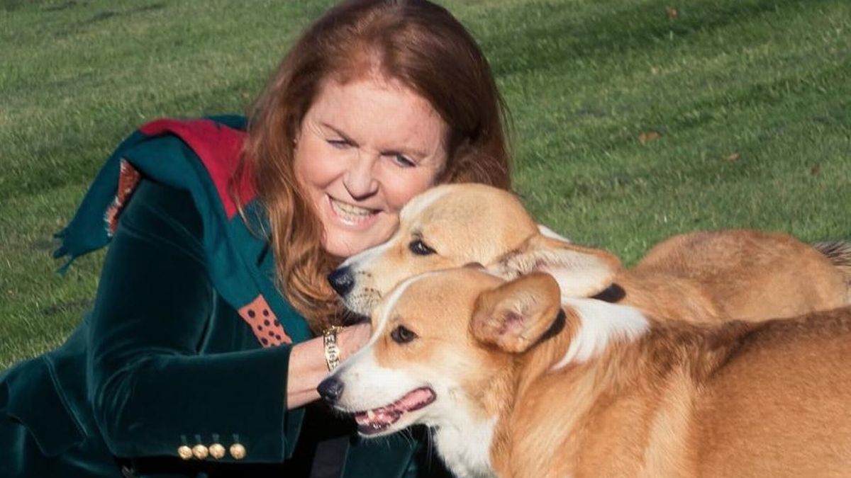 Fergie posts adorable new photo with the Queen's corgis as dogs settle into new home