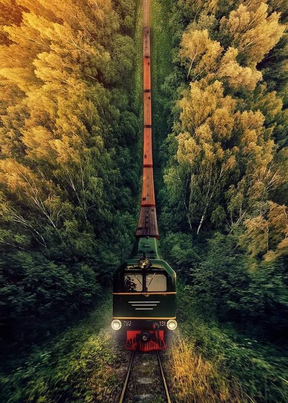 The Enchanting Beauty of Train or Electric Rail Travel -