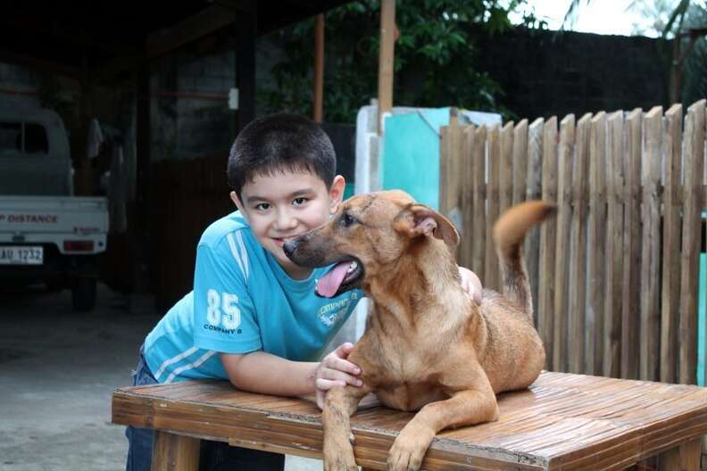Dogs Undergo Incredible Transformation, Thanks To 10-Year-Old-Boy