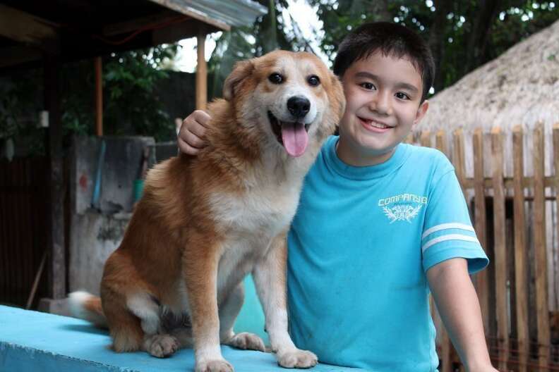 Dogs Undergo Incredible Transformation, Thanks To 10-Year-Old-Boy
