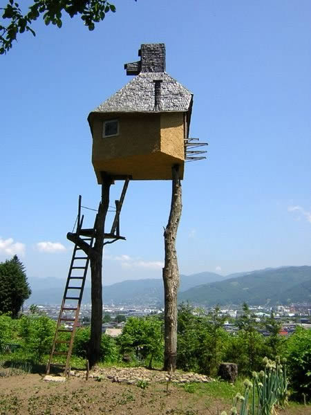 Unraveling the Enigmatic Charm of Unique "Bird's Nest" Homes - Amazing Nature