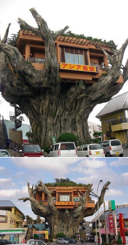 Unraveling the Enigmatic Charm of Unique "Bird's Nest" Homes - Amazing Nature