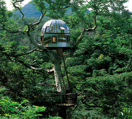 Unraveling the Enigmatic Charm of Unique "Bird's Nest" Homes - Amazing Nature