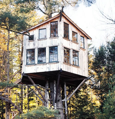 Unraveling the Enigmatic Charm of Unique "Bird's Nest" Homes - Amazing Nature