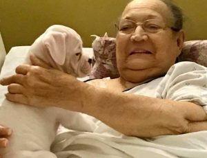 Heartwarming Sight: Nursing Home Residents Interacting with 8 Puppies Brings Pure Joy