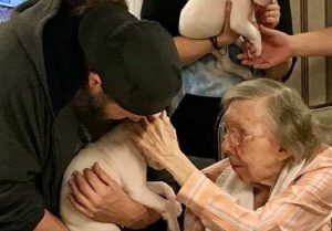 Heartwarming Sight: Nursing Home Residents Interacting with 8 Puppies Brings Pure Joy