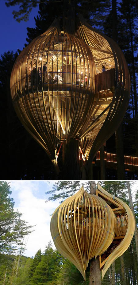 Unraveling the Enigmatic Charm of Unique "Bird's Nest" Homes - Amazing Nature