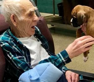 Heartwarming Sight: Nursing Home Residents Interacting with 8 Puppies Brings Pure Joy