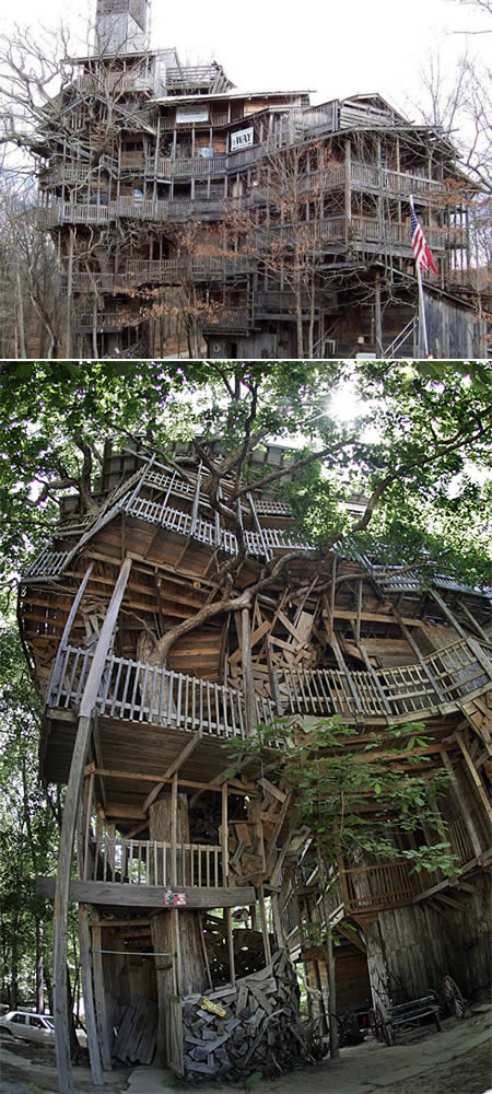 Unraveling the Enigmatic Charm of Unique "Bird's Nest" Homes - Amazing Nature