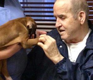 Heartwarming Sight: Nursing Home Residents Interacting with 8 Puppies Brings Pure Joy