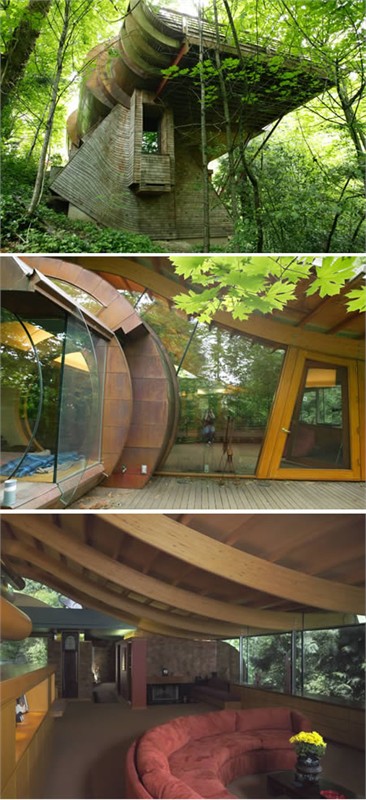 Unraveling the Enigmatic Charm of Unique "Bird's Nest" Homes - Amazing Nature