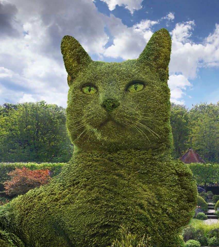 The Surrealist Artist's Extraordinary Skill: Bringing A Topiary Cat To Vivid Life - Nature and Life