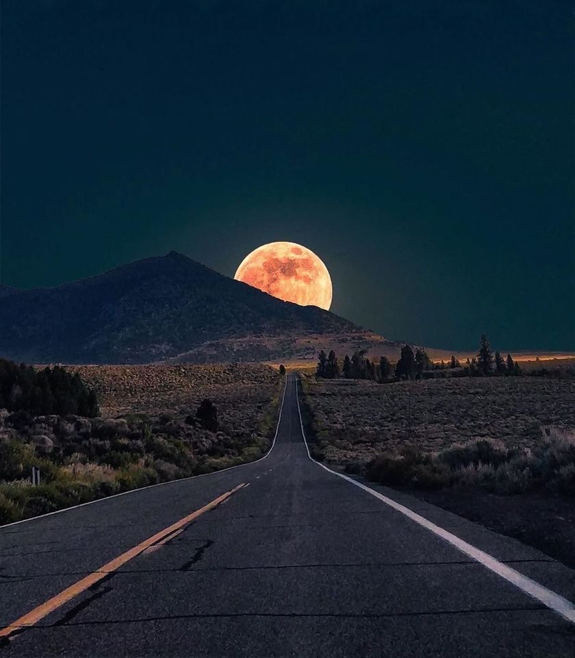 Journeying home from Yosemite in California’s Sierra Nevada, bound for the moon.VoUyen
